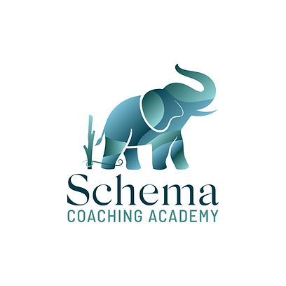 Schema Coaching Academy logo